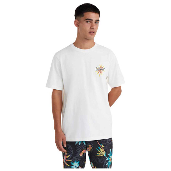 O'neill Ανδρική κοντομάνικη μπλούζα Beach Graphic T-Shirt